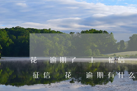 花唄逾期了會上報征信嗎(花唄逾期幾個月上征信嗎?花唄逾期有什么后果)