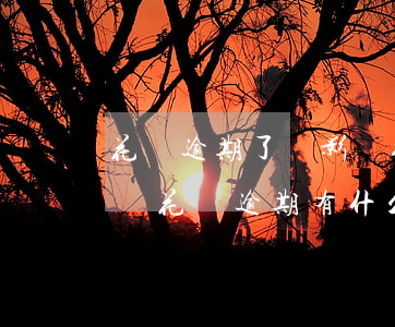 花唄逾期了會影響征信(花唄借唄逾期上征信嗎?花唄逾期有什么后果)