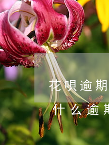 花唄逾期了會怎么樣的(花唄顯示逾期不知道什么逾期了怎么處理)