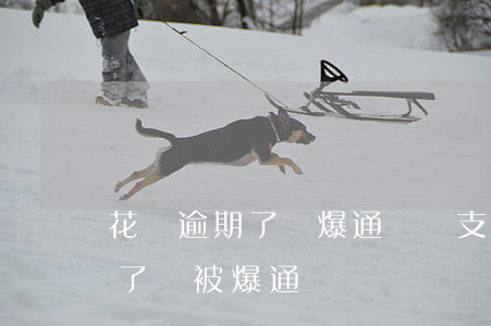 花唄逾期了會爆通錄嗎(支付寶花唄借唄逾期了,會被爆通訊錄嗎)