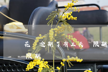 花唄逾期了有三天寬限期(花唄有沒有3天寬限期)
