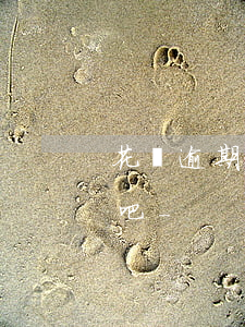花唄逾期了有錢就還一點(diǎn)沒事吧-