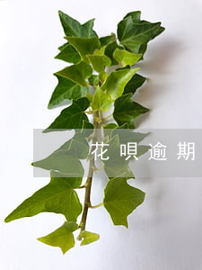 花唄逾期了有開通的嗎