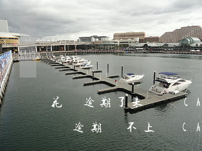 花唄逾期了未還會(huì)怎樣(支付寶花唄逾期還不上會(huì)有什么樣的后果)