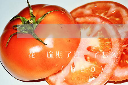 花唄逾期了注銷了怎么辦(花唄逾期注銷支付寶賬號(hào))