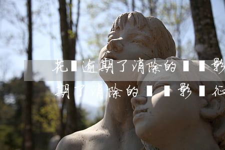 花唄逾期了消除的話會影響征信嗎-花唄逾期了消除的話會影響征信嗎怎么辦