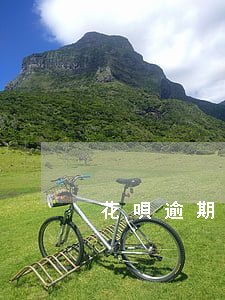 花唄逾期了為什么借唄還不上了-
