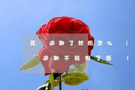 花唄逾期了然后怎么開(kāi)通(之前花唄逾期不能用了后來(lái)開(kāi)通了新人花唄)