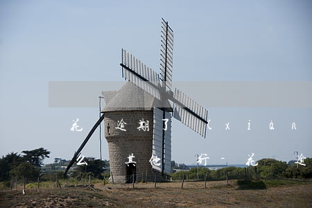 花唄逾期了現(xiàn)在實在還不了怎么辦其他銀行-花唄逾期了現(xiàn)在實在還不了怎么辦其他銀行卡