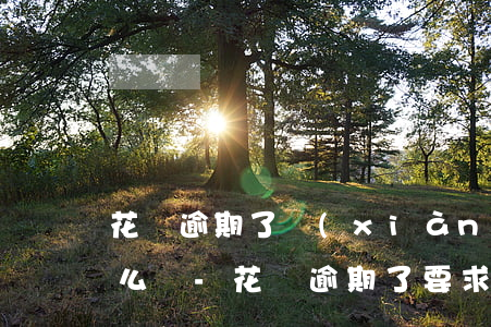 花唄逾期了現(xiàn)在要全額還款怎么辦-花唄逾期了要求全額還款還能慢慢還嗎