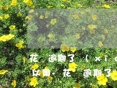 花唄逾期了現(xiàn)在還款了多久可以用-花唄逾期了現(xiàn)在還款了多久可以用啊