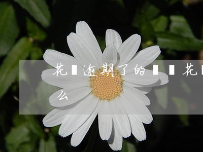 花唄逾期了的視頻(花唄逾期在界面會顯示什么)