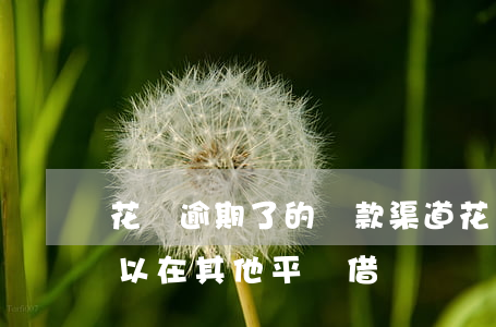 花唄逾期了的還款渠道(花唄逾期還完了還可以在其他平臺借錢嗎)