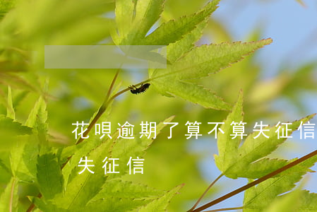 花唄逾期了算不算失征信(花唄逾期了算不算失征信)