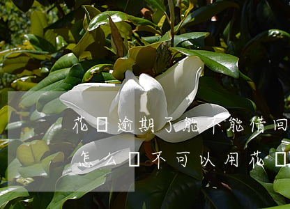 花唄逾期了能不能借回來(花唄逾期已經還了,怎么還不可以用花唄)