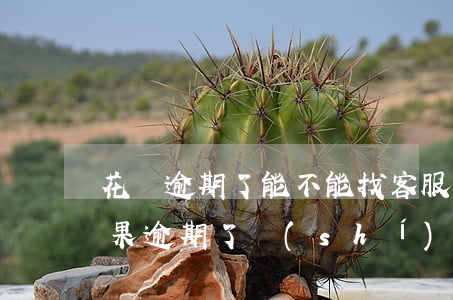 花唄逾期了能不能找客服辦理延期還款-如果逾期了實(shí)在沒錢還怎么辦