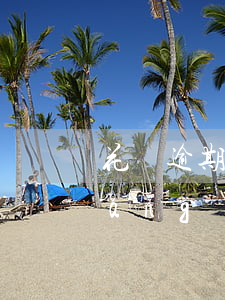 花唄逾期了能不能網(wǎng)貸(網(wǎng)貸逾期花唄為什么會(huì)關(guān)閉,還能開(kāi)通嗎?)