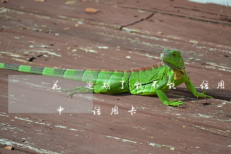 花唄逾期了能不能辦信用卡（有花唄逾期可以申請信用卡嗎）