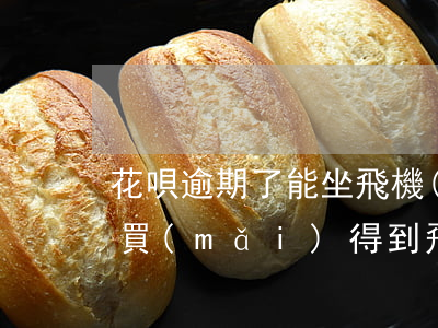 花唄逾期了能坐飛機(jī)嗎(花唄逾期能買(mǎi)得到飛機(jī)票、火車(chē)票嗎?)