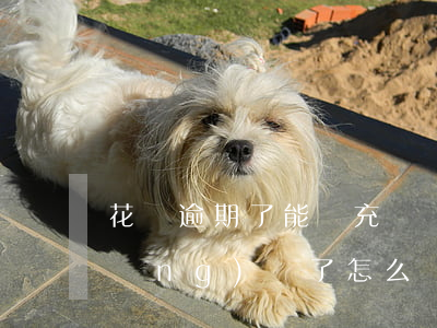 花唄逾期了能掃充電寶嗎(花唄逾期已經(jīng)還了,怎么還不可以用花唄)