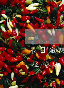 花唄逾期了能買房子嗎(花唄逾期幾天會影響征信以后買不了房子嗎)