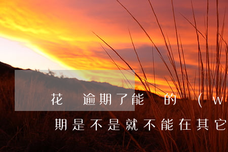 花唄逾期了能貸的網(wǎng)貸(花唄逾期是不是就不能在其它貸款上貸款了)