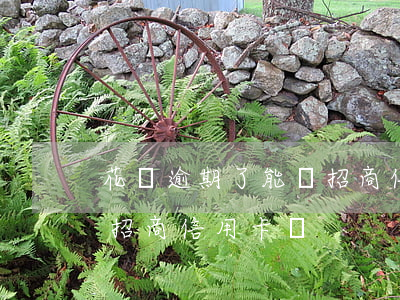 花唄逾期了能辦招商信用卡(花唄逾期了能辦招商信用卡嗎)