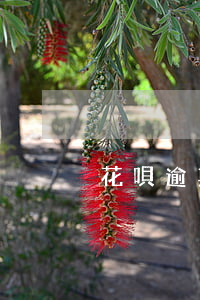 花唄逾期了能釣外賣嗎