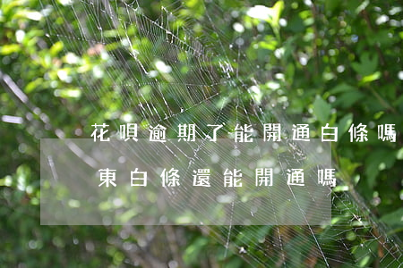 花唄逾期了能開通白條嗎(支付寶花唄逾期京東白條還能開通嗎)