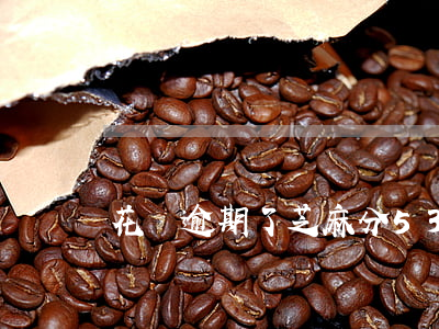 花唄逾期了芝麻分530分怎么辦