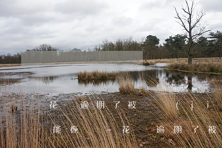 花唄逾期了被凍結(jié)使用要多久才能恢復-花唄逾期了被凍結(jié)使用要多久才能恢復正常