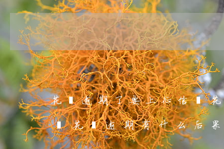 花唄逾期了要上征信嗎(花唄逾期多久上征信嗎?花唄逾期有什么后果)