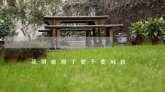 花唄逾期了要不要利息