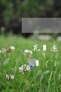 花唄逾期了要多久才能起訴-花唄逾期多久會(huì)被起訴?花唄逾期怎么辦