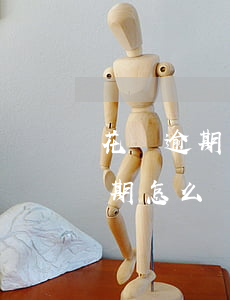 花唄逾期了要怎么去還款(我的支付寶花唄逾期怎么還款)