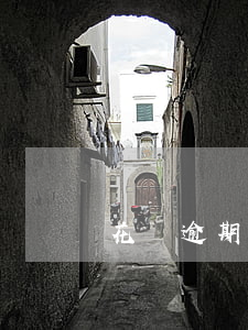 花唄逾期了視頻催收