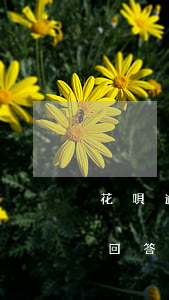 花唄逾期了說上門調(diào)查要怎么回答-花唄逾期了說上門調(diào)查要怎么回答呢