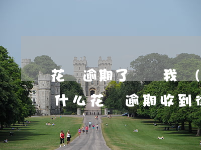 花唄逾期了說給我發(fā)律師函意味著什么（花唄逾期收到律師函就是被起訴）
