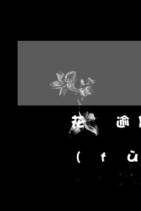 花唄逾期了賬戶被凍結(jié)還能恢復(fù)嗎-花唄逾期了賬戶被凍結(jié)還能恢復(fù)嗎怎么辦