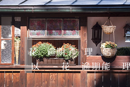 花唄逾期了辦理電信無線網(wǎng)可以嗎-花唄逾期能辦理信用卡嗎?