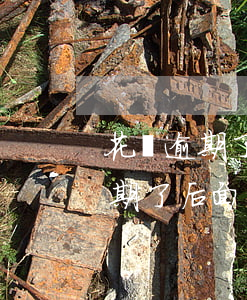 花唄逾期了進(jìn)不去怎么還(花唄逾期了后面還進(jìn)去了為什么不能用了)