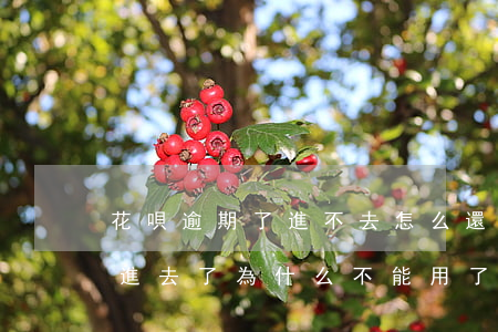 花唄逾期了進不去怎么還(花唄逾期了后面還進去了為什么不能用了)