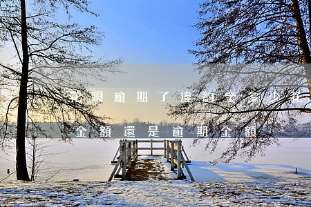 花唄逾期了違約金多少(花唄逾期利息是按總金額還是逾期金額)