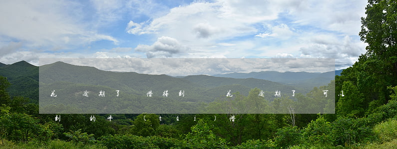 花唄逾期了還借得到錢嗎(花唄逾期了還可以到別的平臺(tái)借錢嗎)