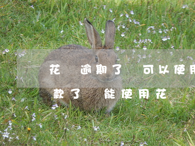花唄逾期了還可以使用嗎(花唄逾期很久后還款了還能使用花唄嗎?)