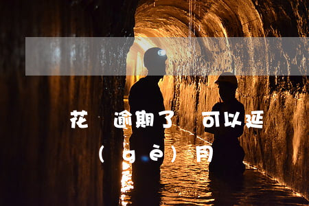 花唄逾期了還可以延遲嗎(花唄可以延遲到下個(gè)月還嗎)
