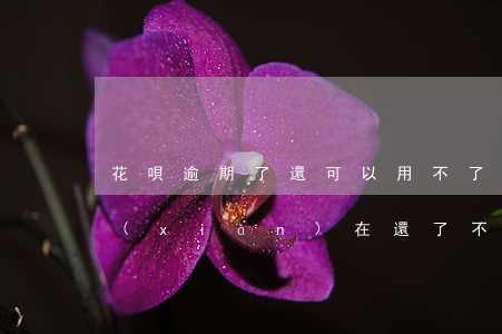 花唄逾期了還可以用不了(花唄逾期了幾天,現(xiàn)在還了,不能用了)