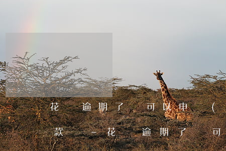 花唄逾期了還可以申請(qǐng)延期還款嗎-花唄逾期了還可以申請(qǐng)延期還款嗎怎么辦