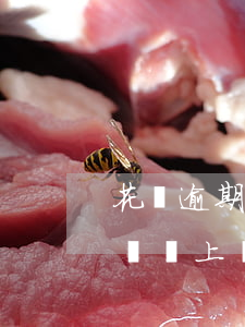 花唄逾期了還可以當兵(花唄還有1000沒還馬上當兵走了怎么辦)