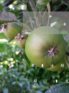 花唄逾期了還完了可以買高鐵票嗎-花唄逾期了還完了可以買高鐵票嗎怎么辦